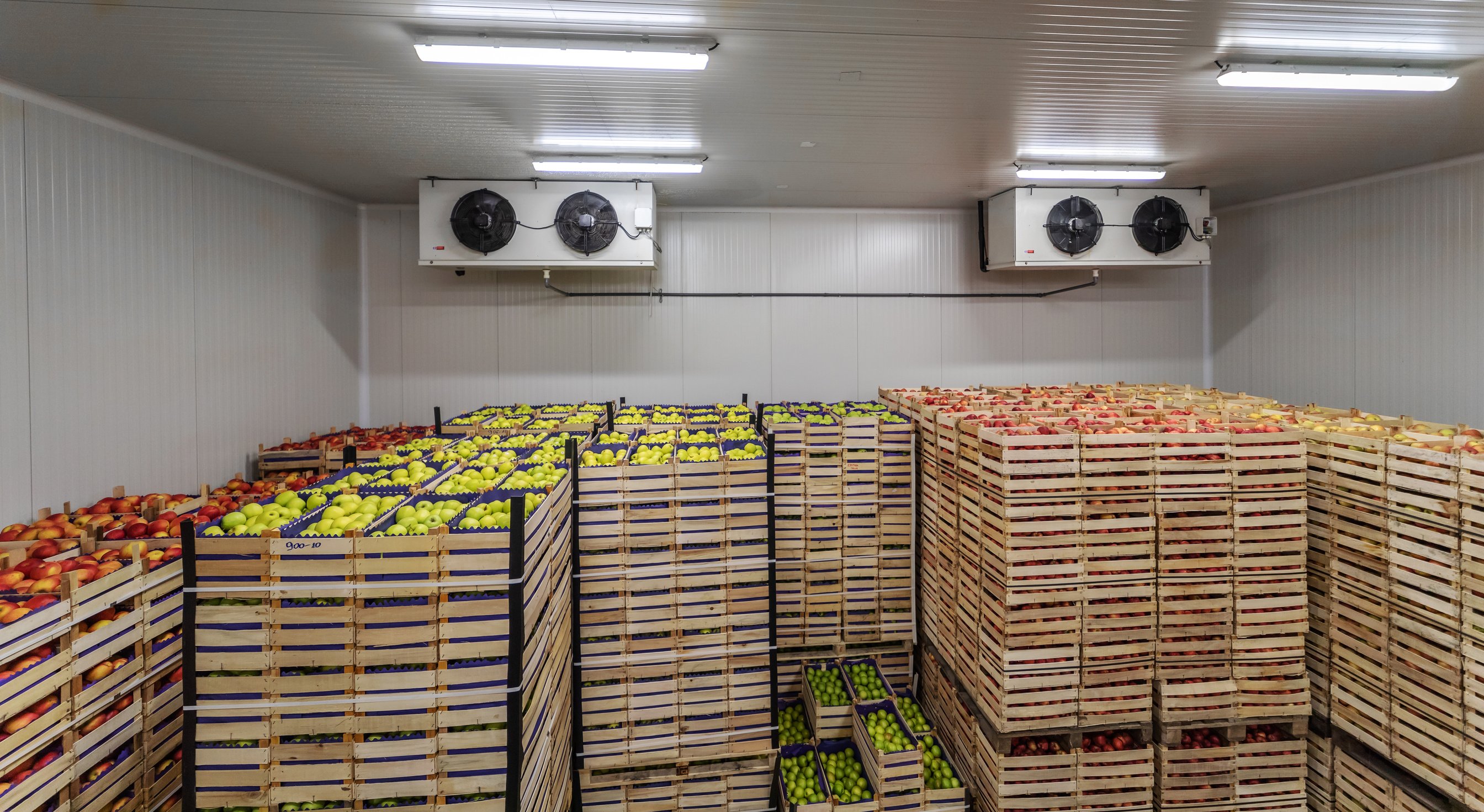 Fruits in crates ready for shipping. Cold storage interior.